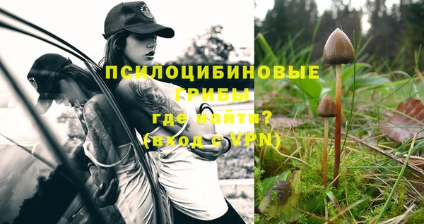 гашиш Михайловск