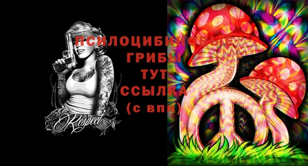 гашик Михайловка