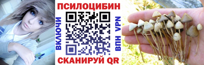 Галлюциногенные грибы мицелий  Купить где  Шумерля 